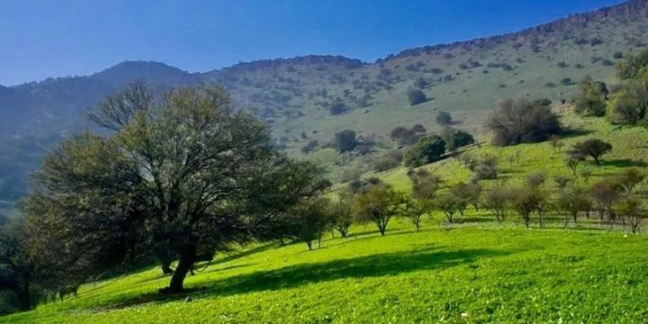 Propiedad Colina