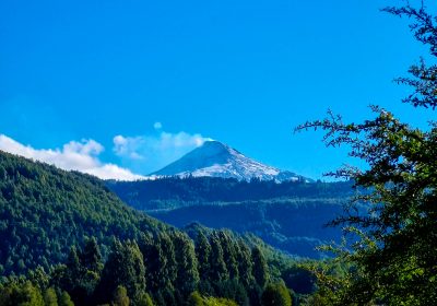 Terrenos Palguin Bajo, Pucón – Curarrehue